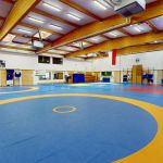 zapasy/judo