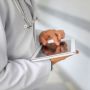 doctor-hands-using-modern-tablet.jpg