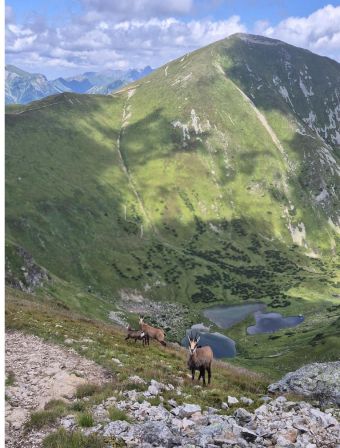 Górskie wyzwania zaliczone