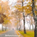 Krawczyk_Czarny_motyl