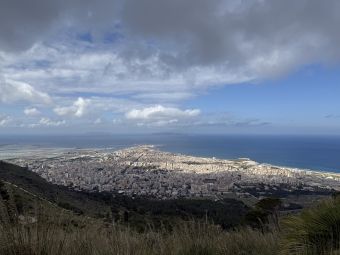 Trapani