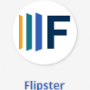 FlipsterMale.png